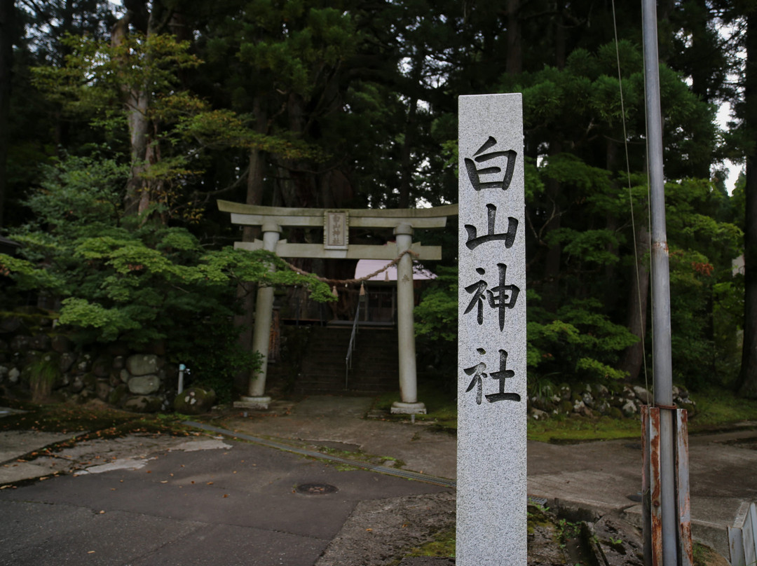 Mushigawa no Osugi-上越市必去景点