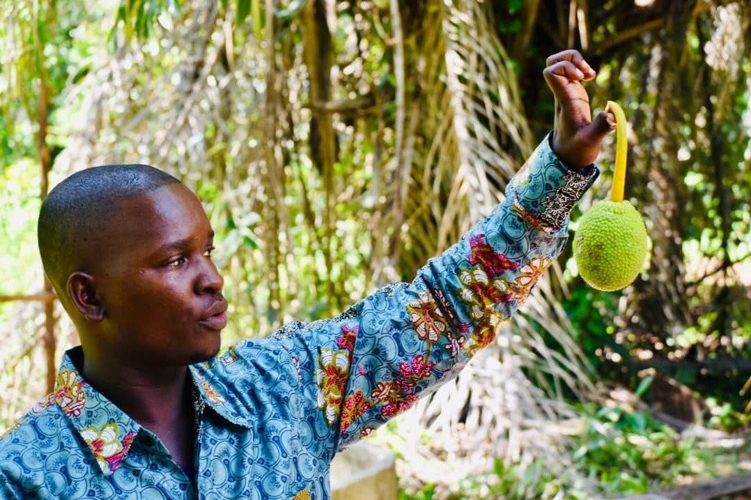 Zanzibar Kombo Tours and Safaris-桑给巴尔市必去景点