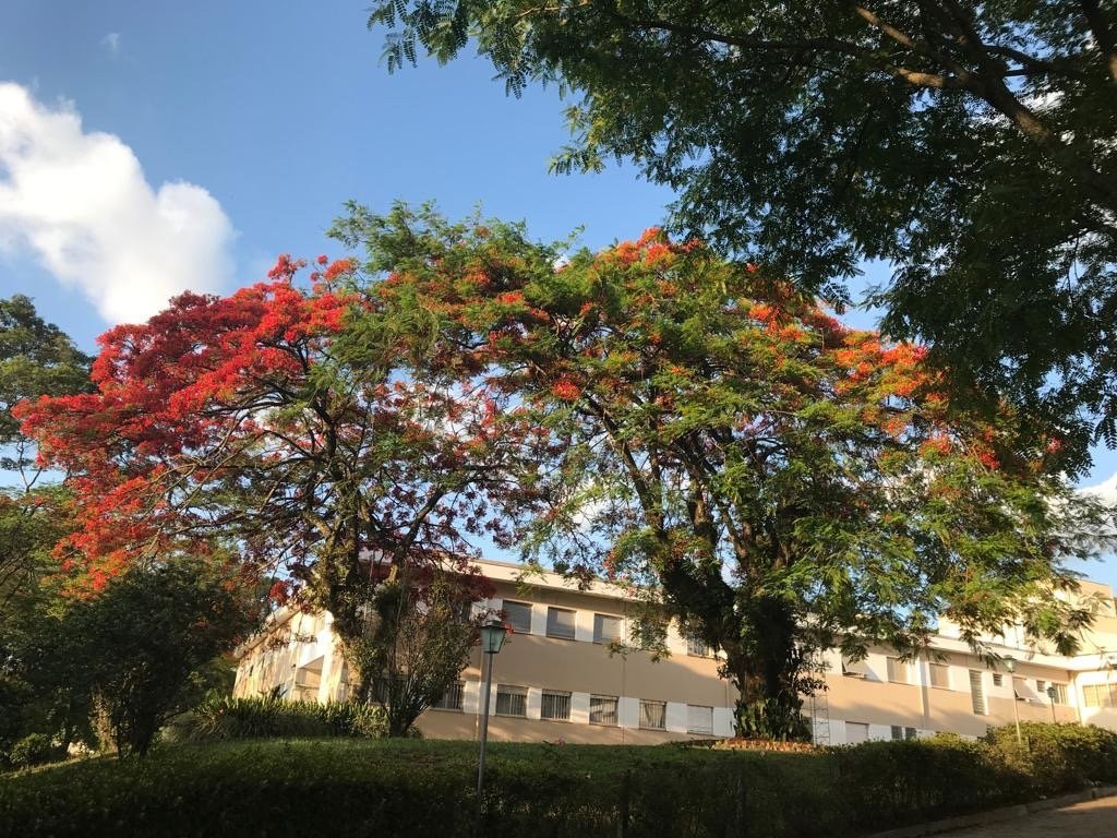 Santuário de Schoenstatt - Atibaia景点图片
