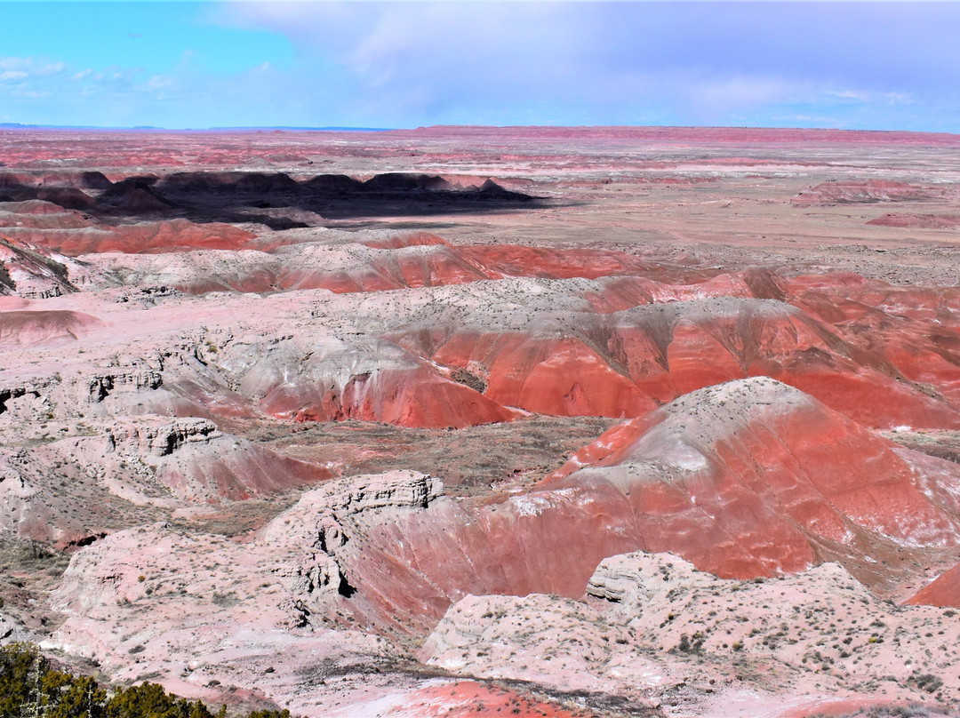 Painted Desert Rim Trail-石化林国家公园必去景点