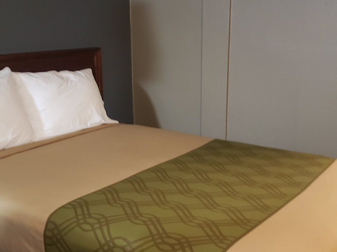Econo Lodge Pittsburgh I-79主图