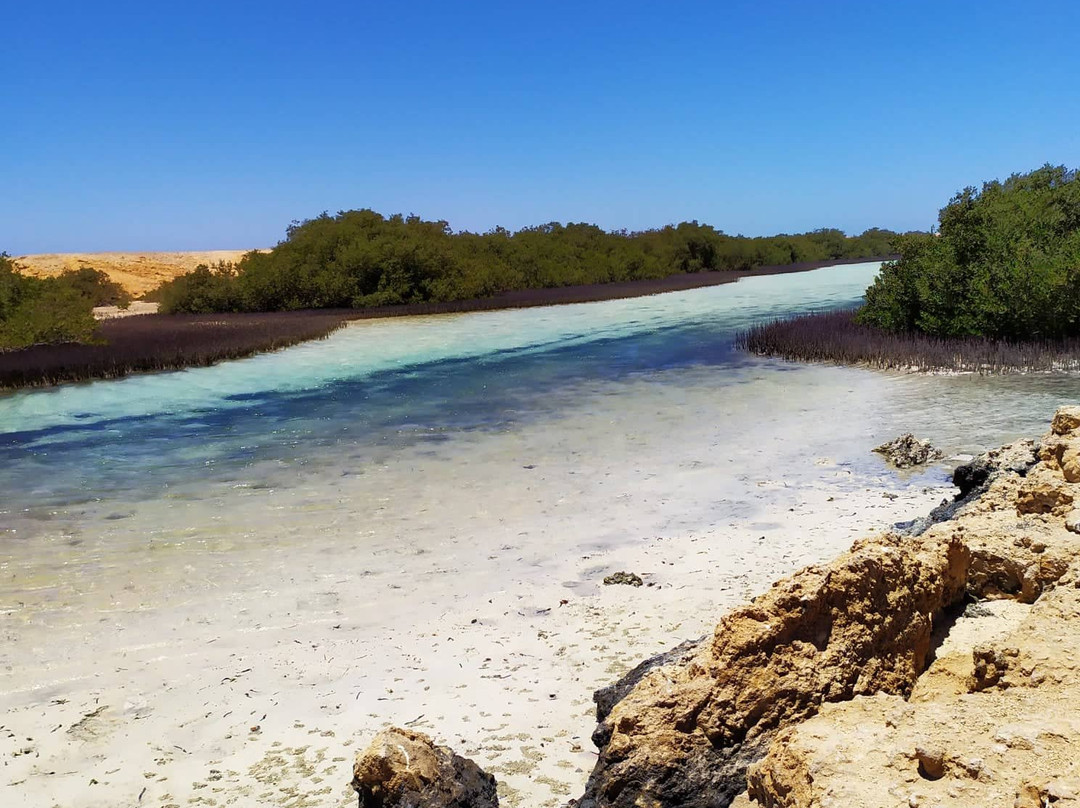 Mangrove Beach-Ras Mohammed必去景点