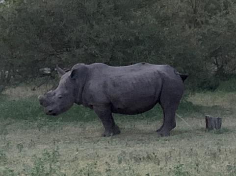 Lowveld Odyssey-霍德斯普鲁特必去景点