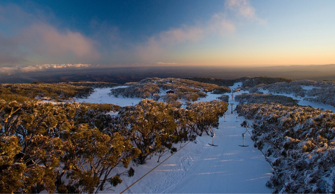 Mount Baw Baw Alpine Resort-Mount Baw Baw必去景点