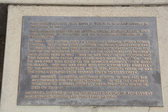 Nat Buchanan's Grave-Walcha必去景点