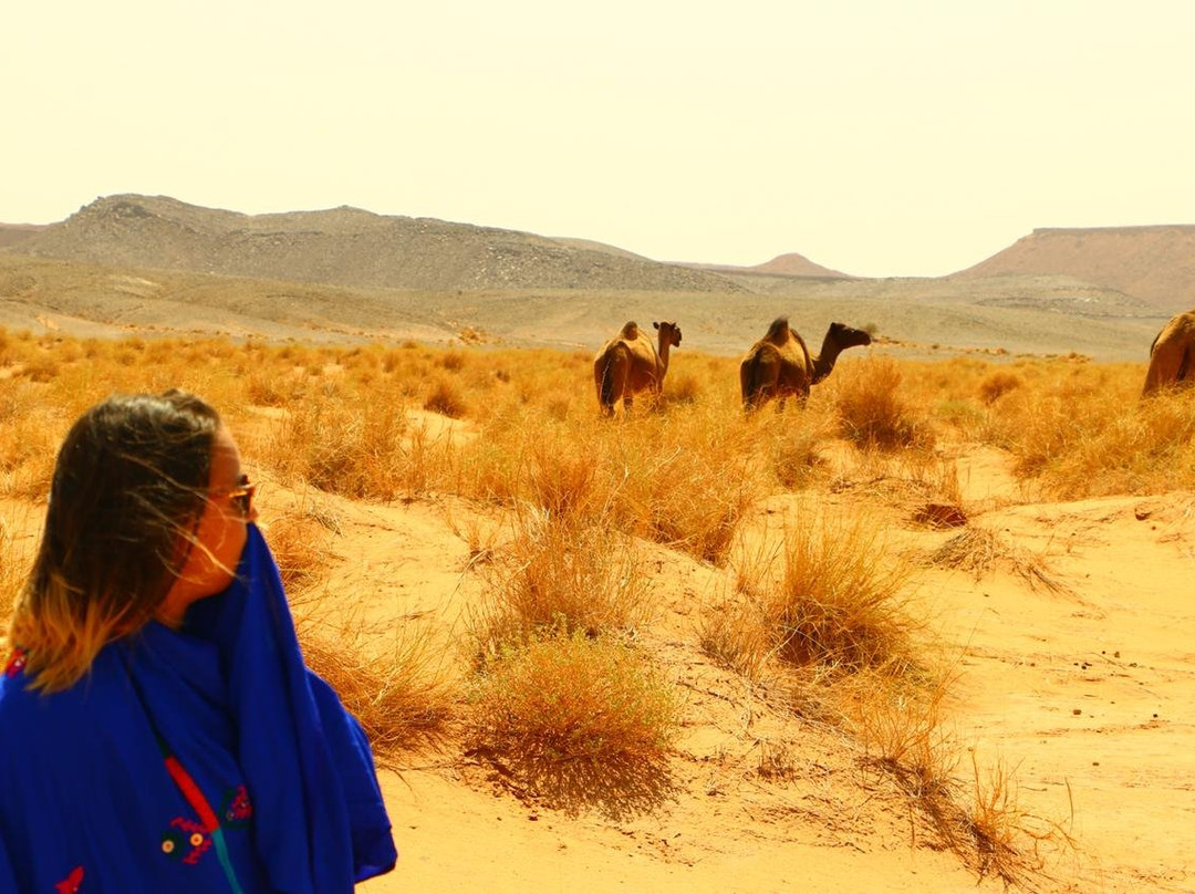 ExplorerMarruecos-丹吉尔必去景点