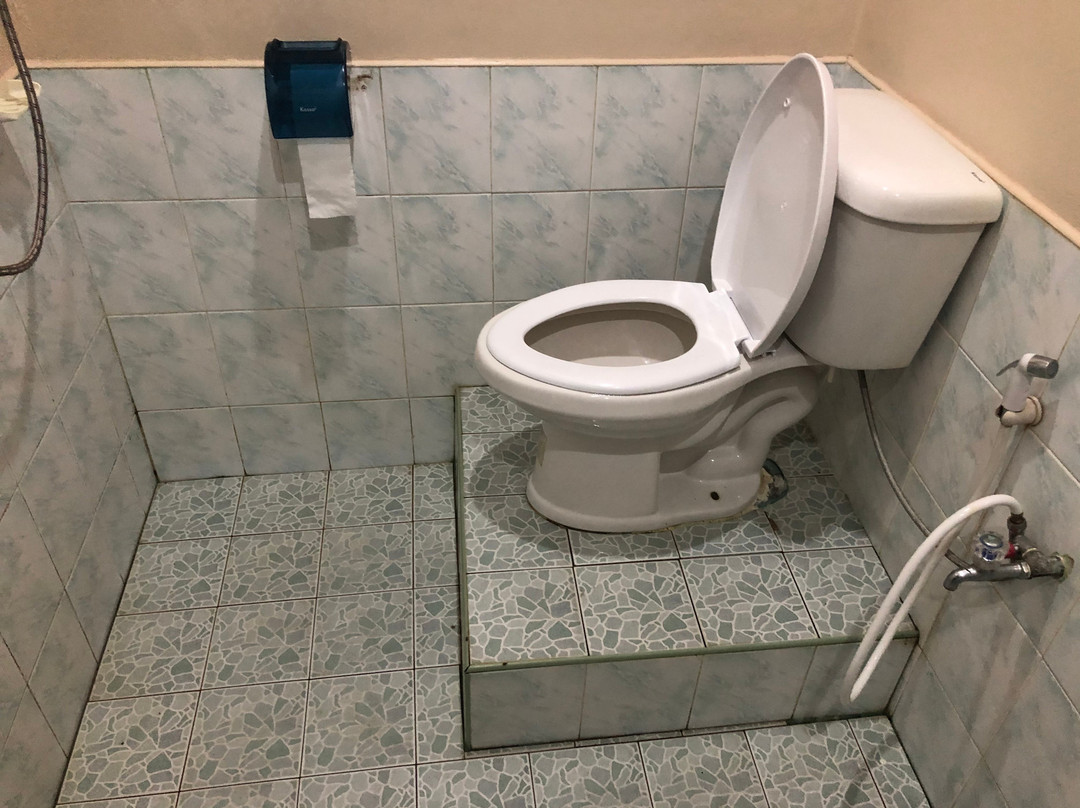 Jungle View Resort主图