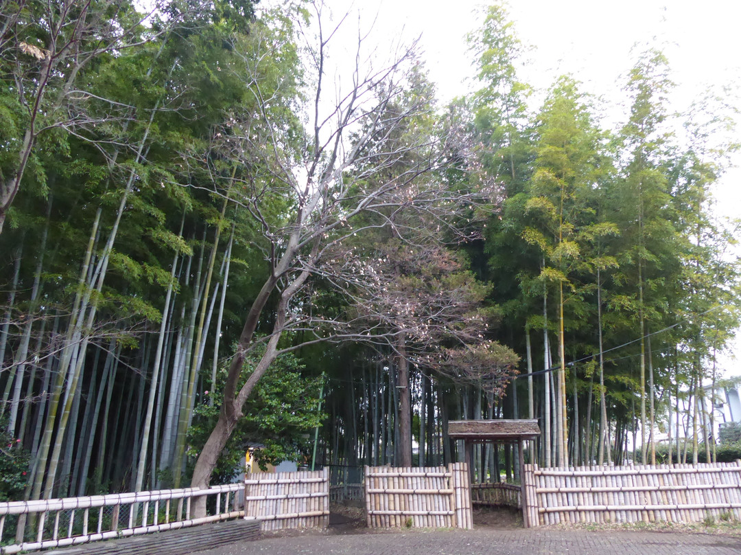 Chikurin Park-东久留米市必去景点