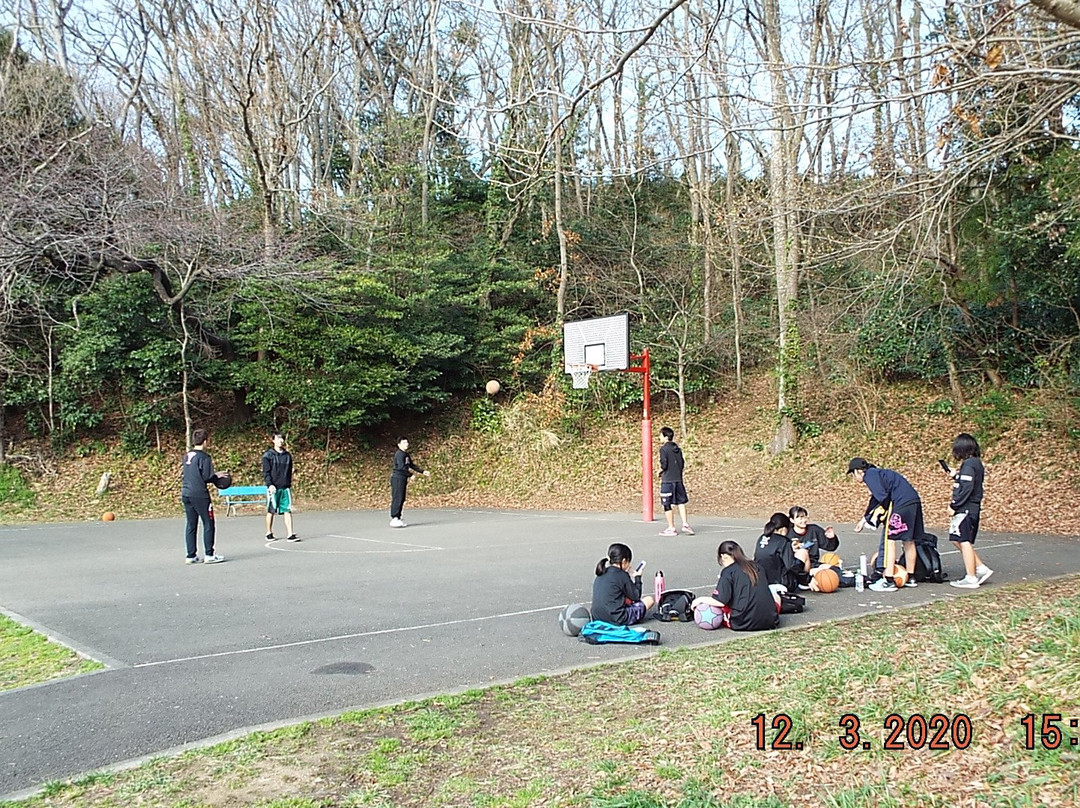 Oiso Sports Park-大矶町必去景点