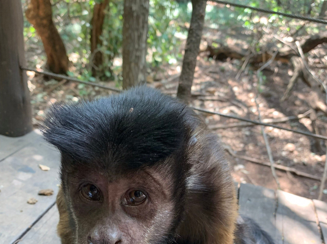 Pongoa Travel-南非西北必去景点