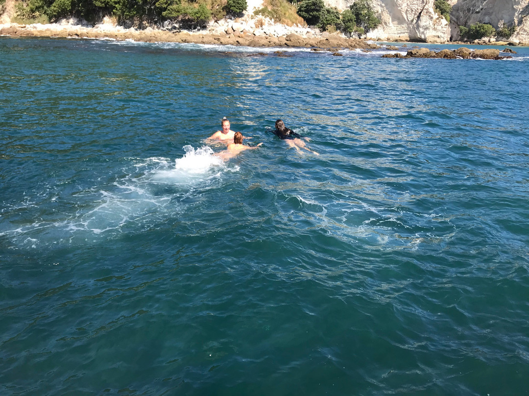 Boom Sailing-菲蒂昂格必去景点