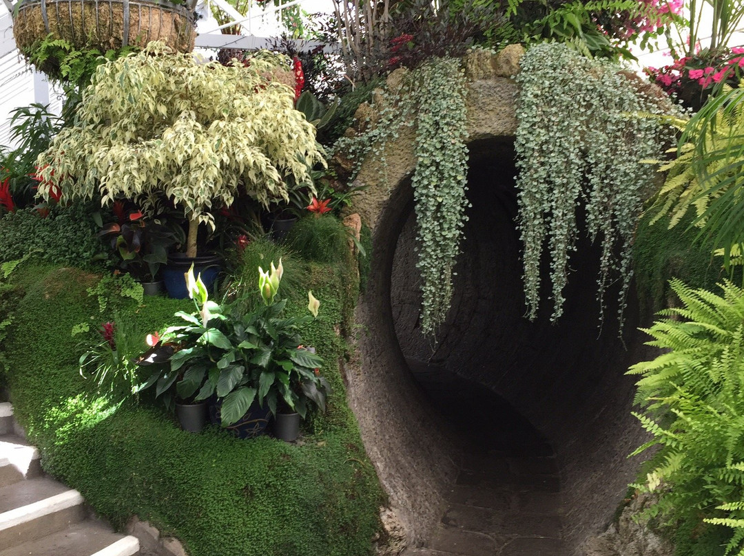 Wanganui Winter Garden-旺加努伊必去景点