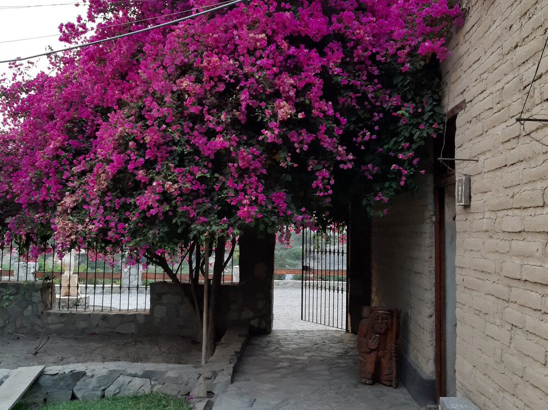 Refugio de Santiago Ecolodge主图