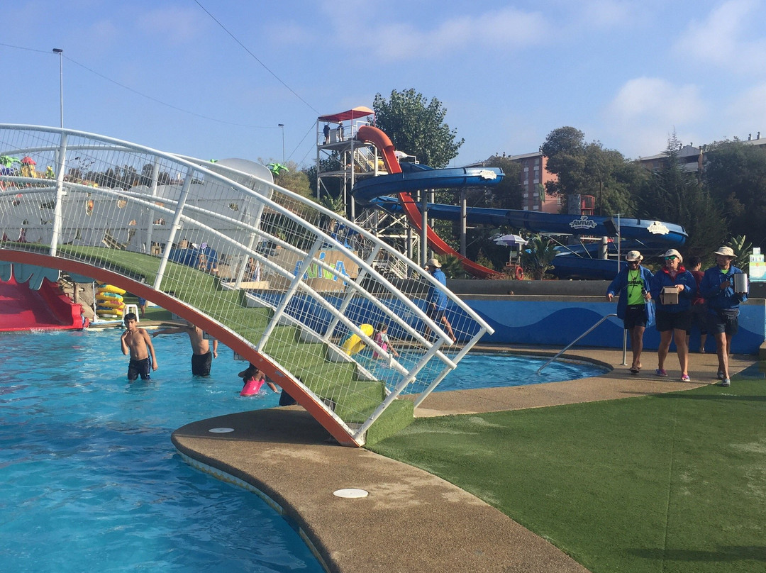 Parque Acuatico Aviva-比尼亚德尔马必去景点