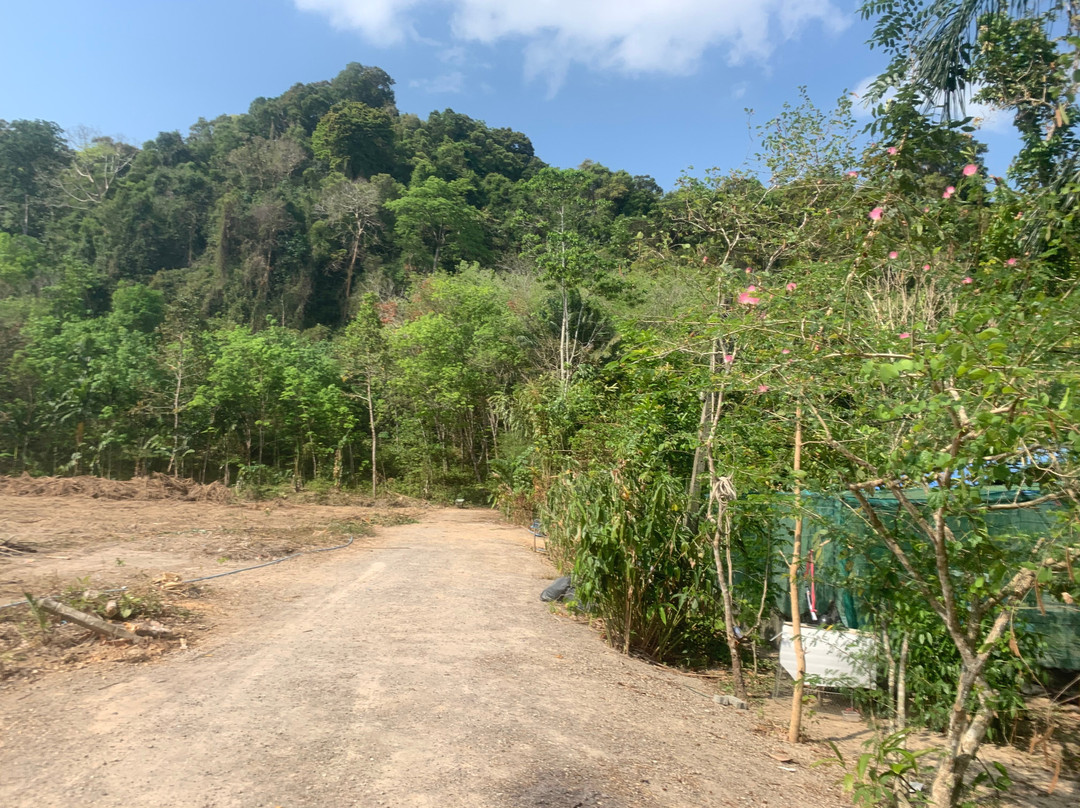 Na Tin Spicy Garden-奥南必去景点