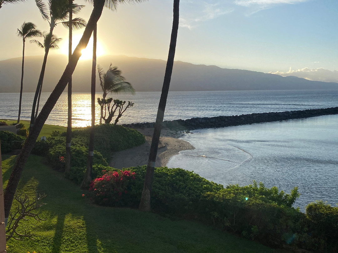 Maalaea Harbor-玛阿拉也亚必去景点