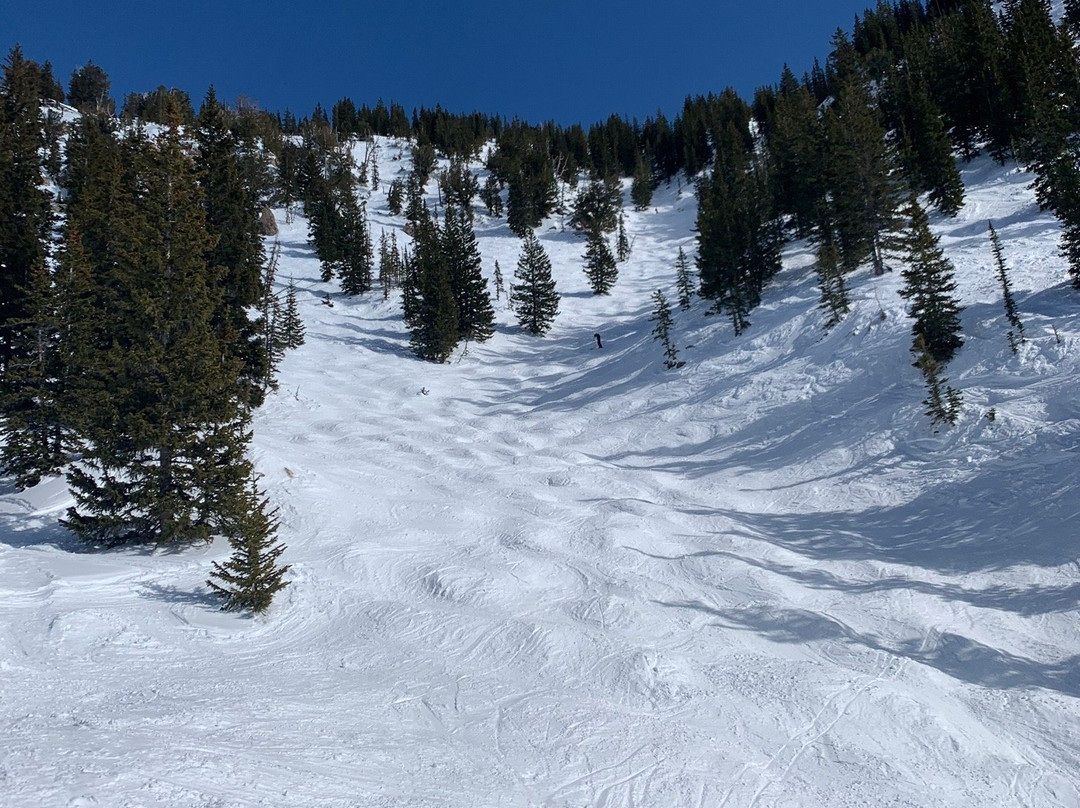 Alta Ski Area景点图片