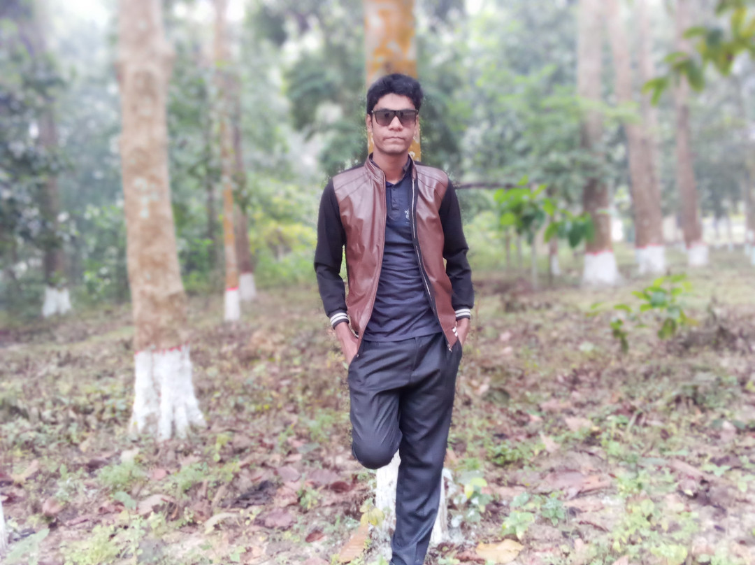 Madhupur National Park景点图片
