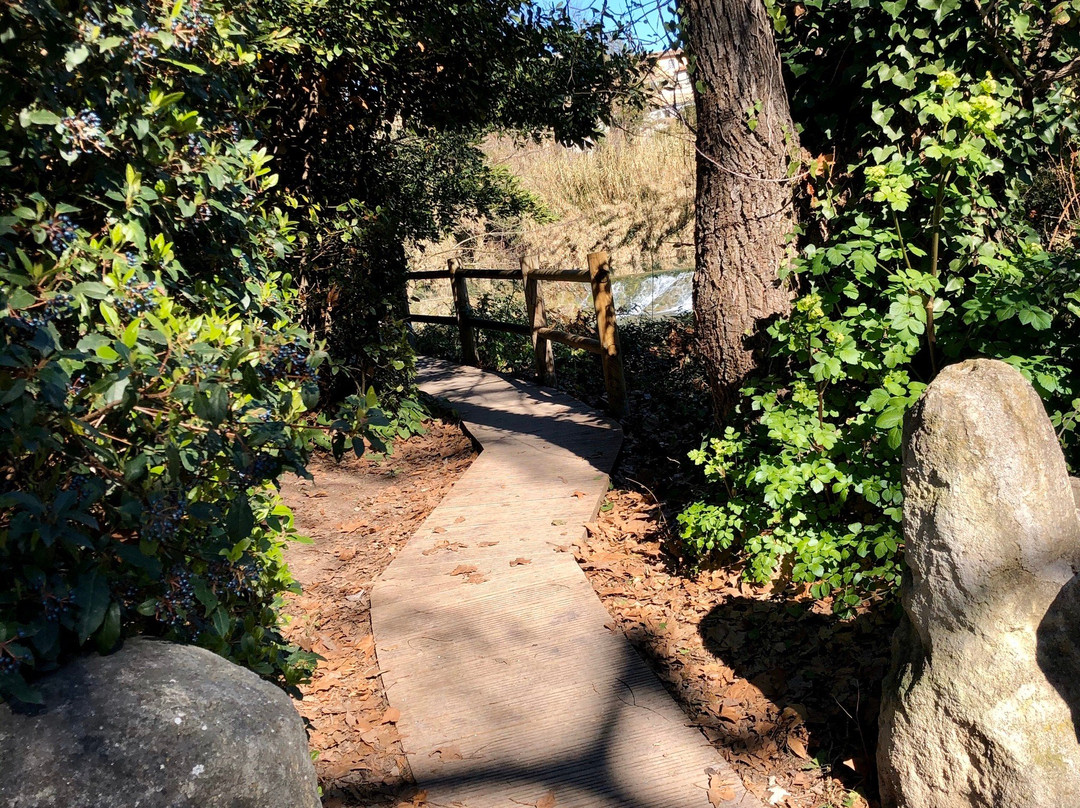 Parc du Domaine de Meric-蒙彼利埃必去景点