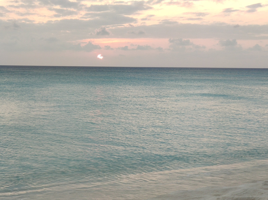 棕榈海滩度假村主图