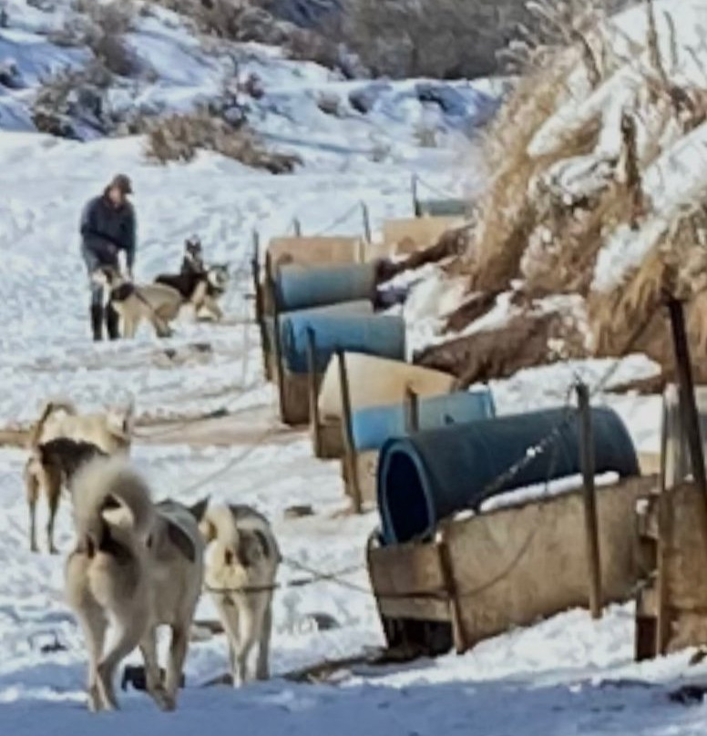 Bear Ridge Adventures-Coalville必去景点