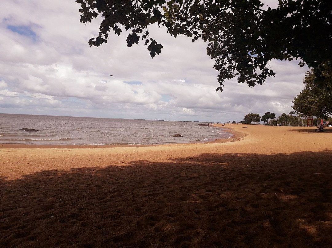 Nereidas Beach景点图片