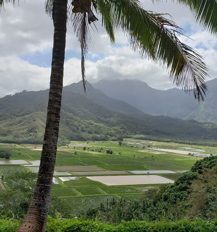 Hanalei Valley Lookout-普林斯维尔必去景点
