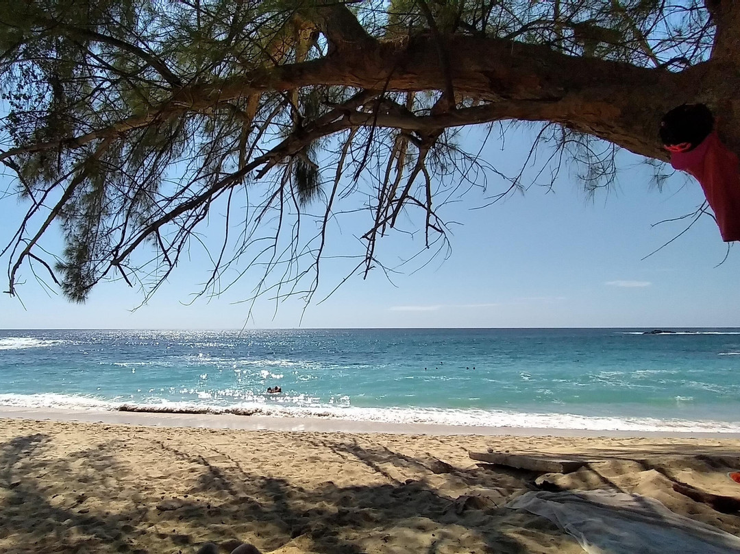 Zipolite al desnudo景点图片