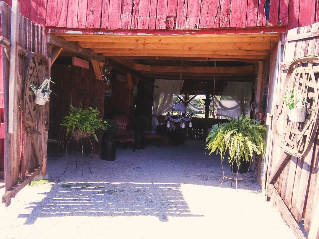 Rockn B Horse Farm Carriage景点图片