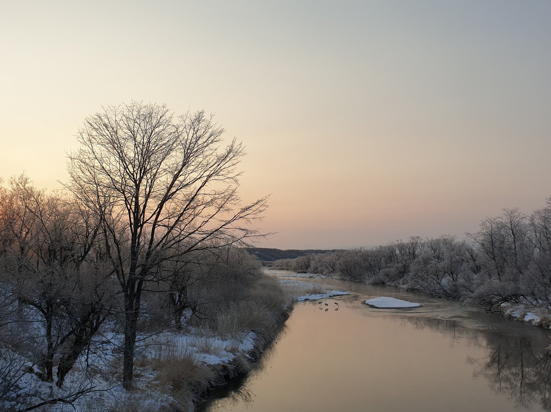 Otowa Bridge-鹤居村必去景点