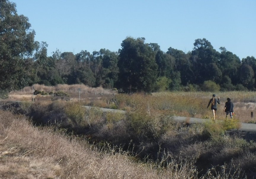 American Canyon Wetlands景点图片