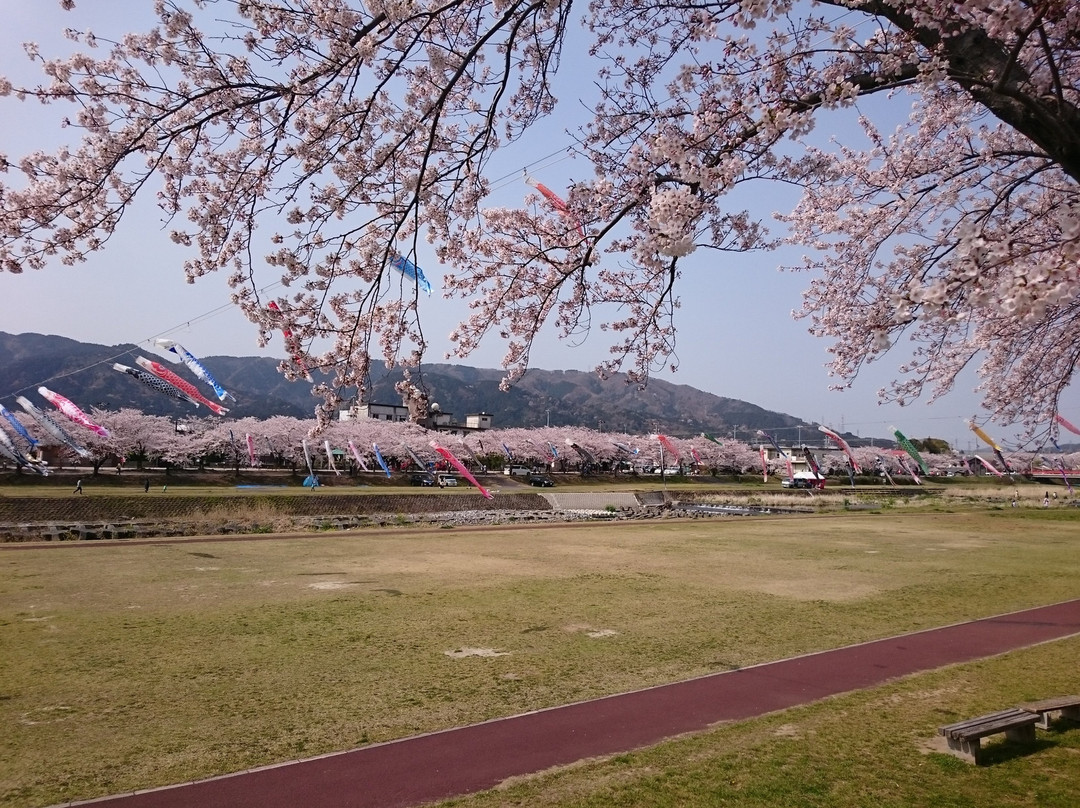 Aikawa Mizube Park-垂井町必去景点