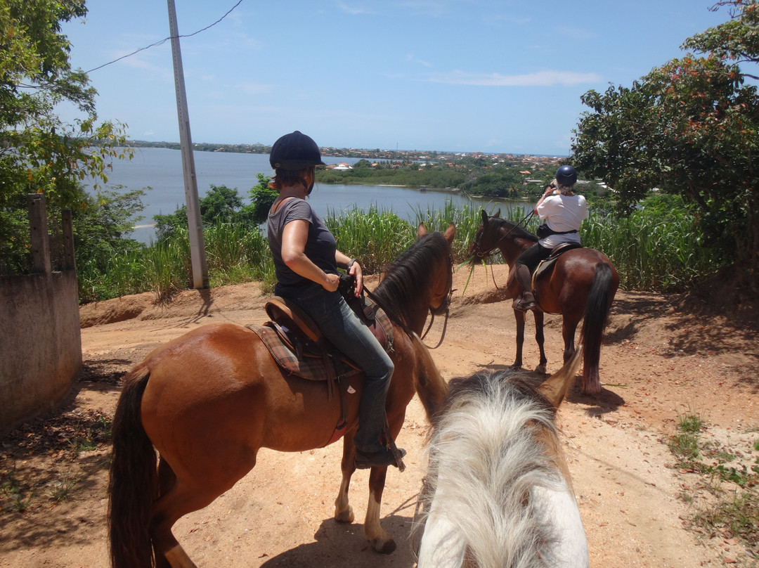 Hotel Eco Sítio Nosso Paraíso主图