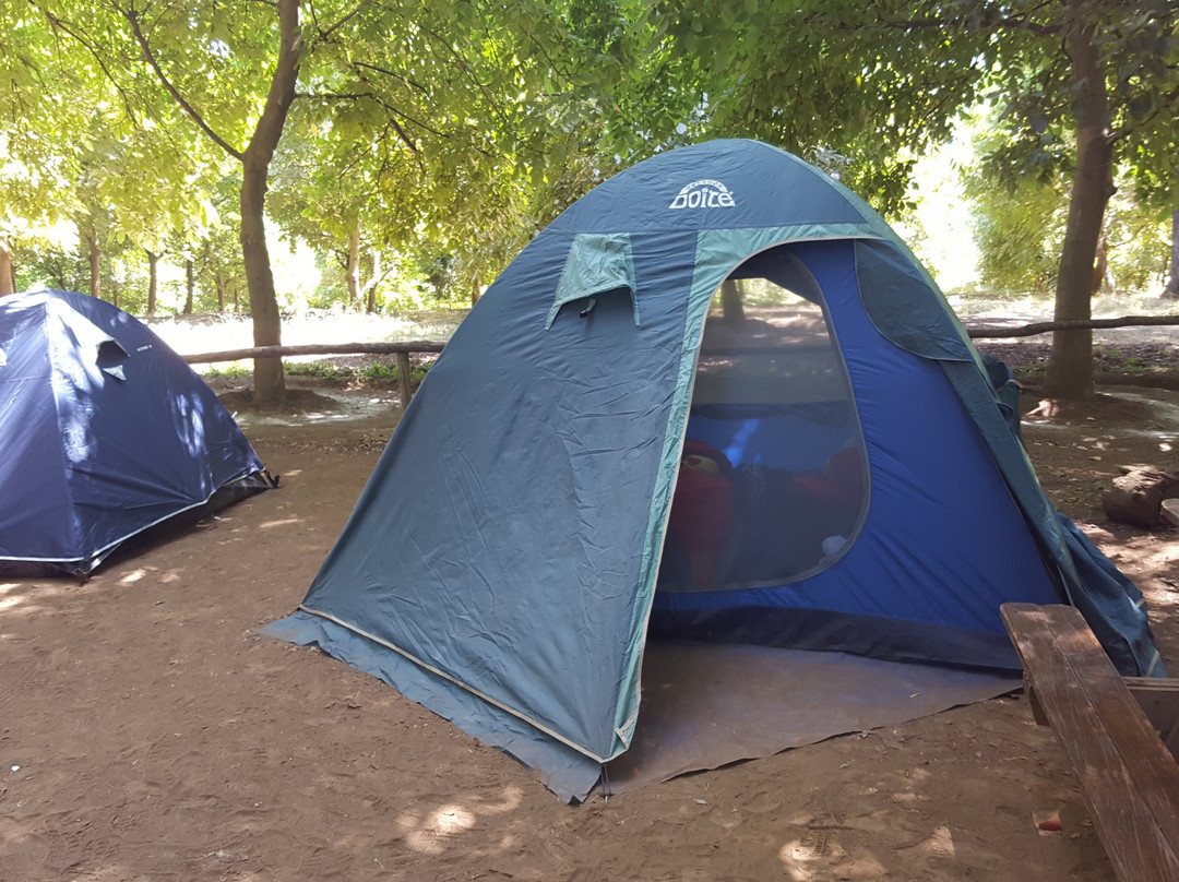 Vilches Alto-San Clemente必去景点