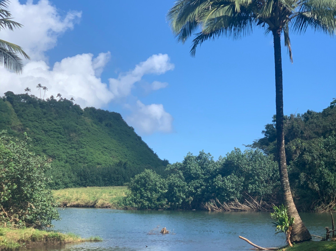 Secret Falls (Uluwehi Falls)景点图片