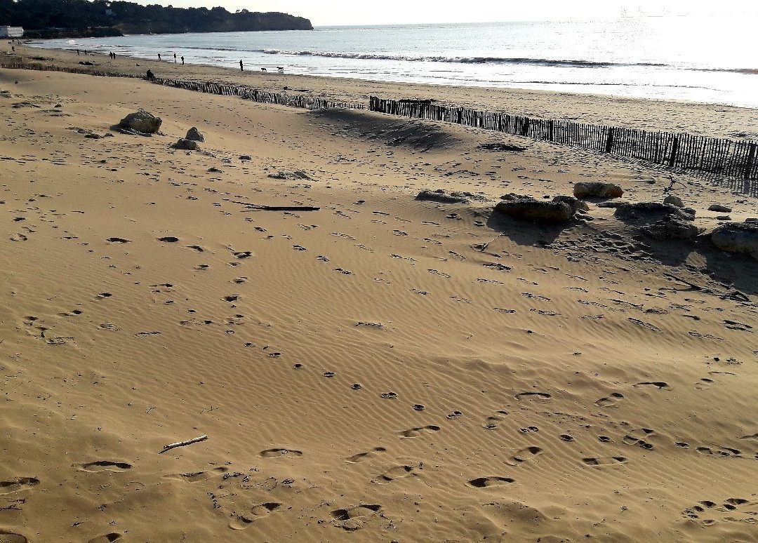 Plage Saint Georges de Didonne景点图片