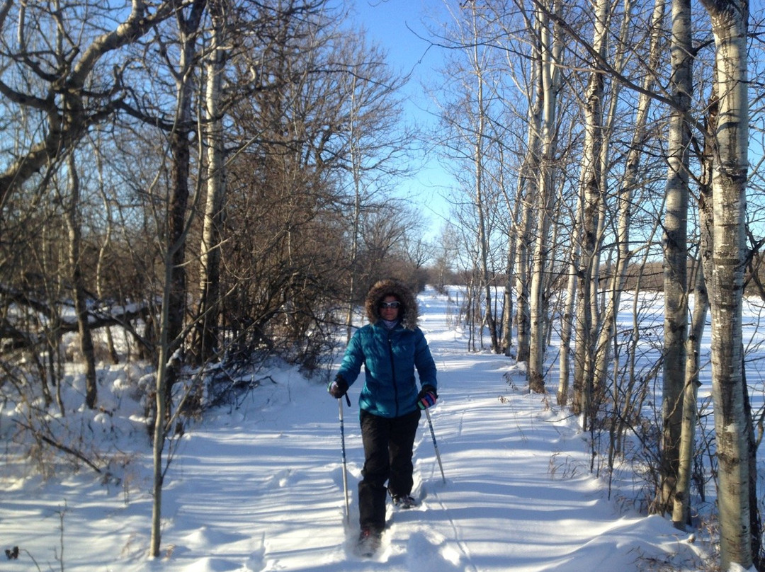 Thomas Bunn House B&B主图