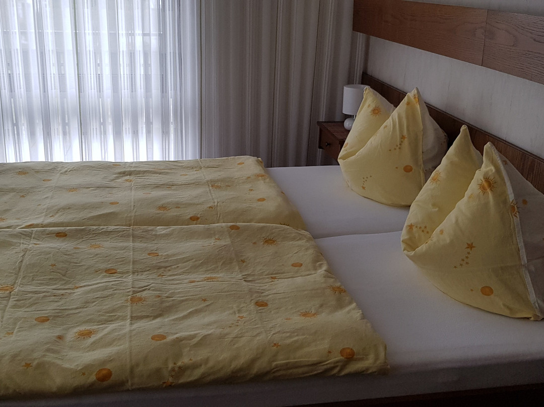 Hotel Tannenhof Garni主图