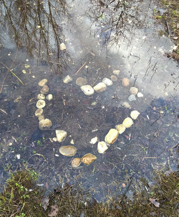 Mare de Craquenot - Espace Naturel Sensible-Charette必去景点