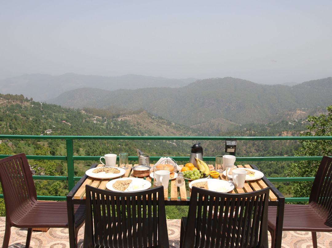 Nest And Hives主图