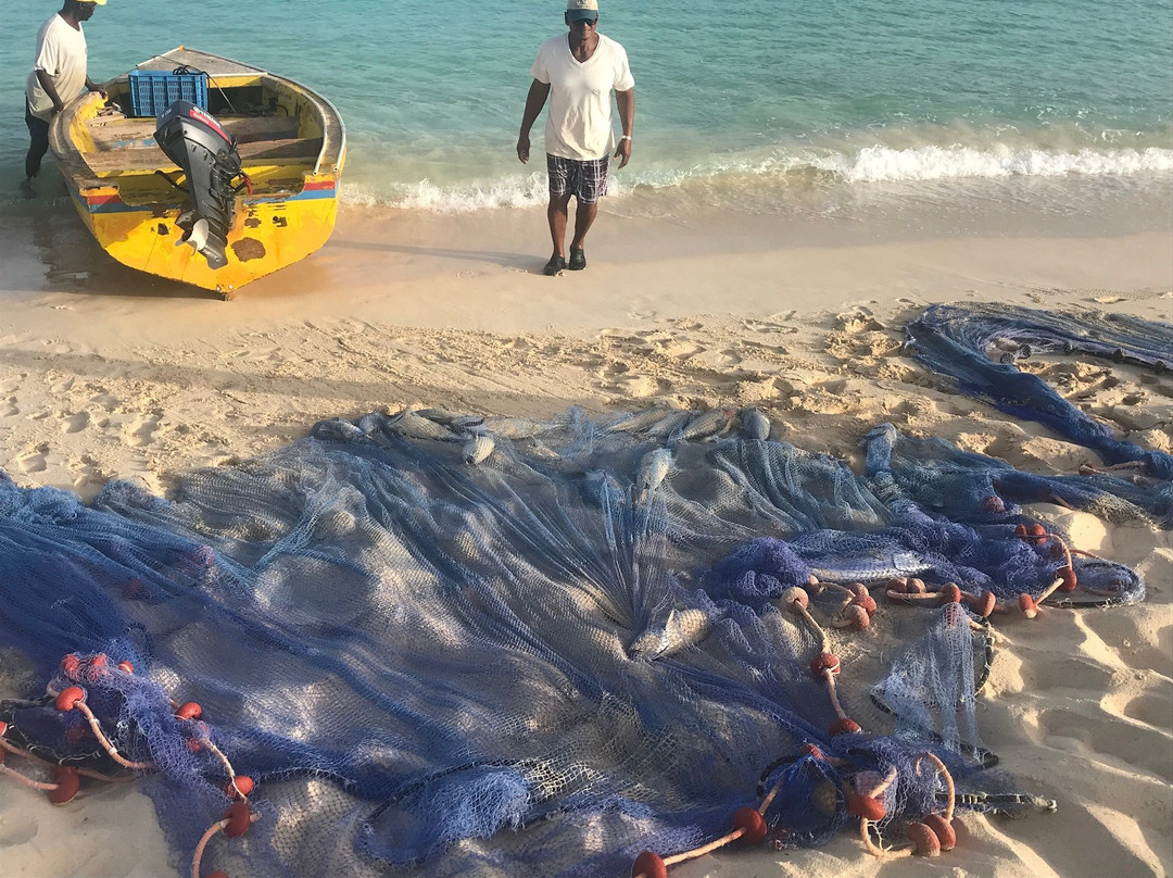 Carimar Beach Club主图