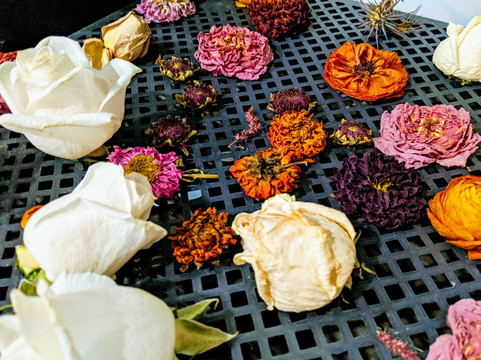 Petite Petal-坎贝尔必去景点