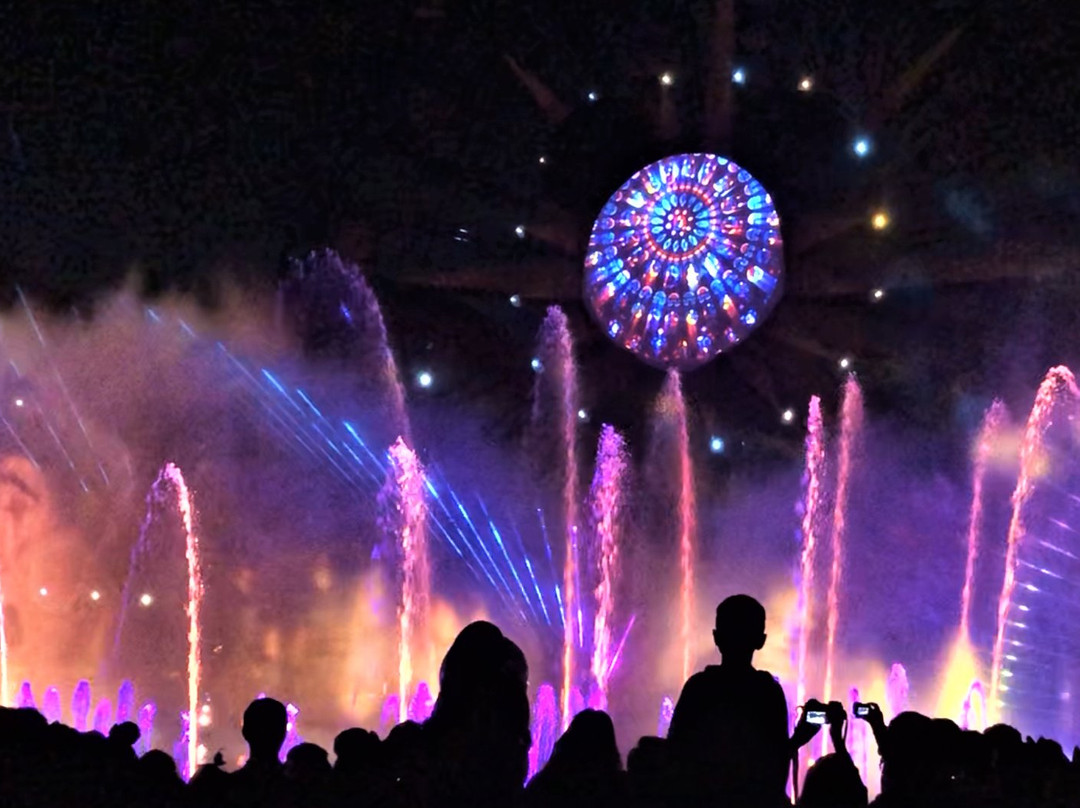 World of Color - ONE-阿纳海姆必去景点