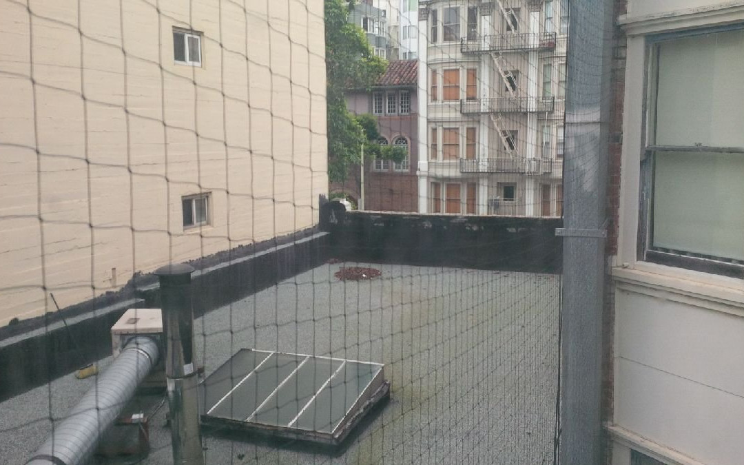 白天鹅旅馆主图