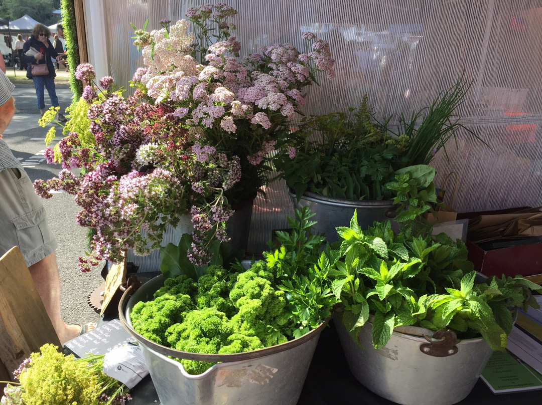 Whanganui River Traders Market-旺加努伊必去景点