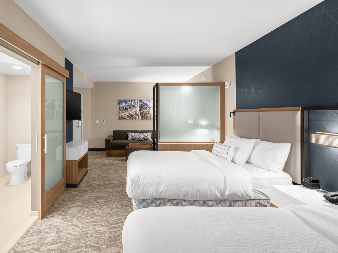 SpringHill Suites by Marriott Jackson主图