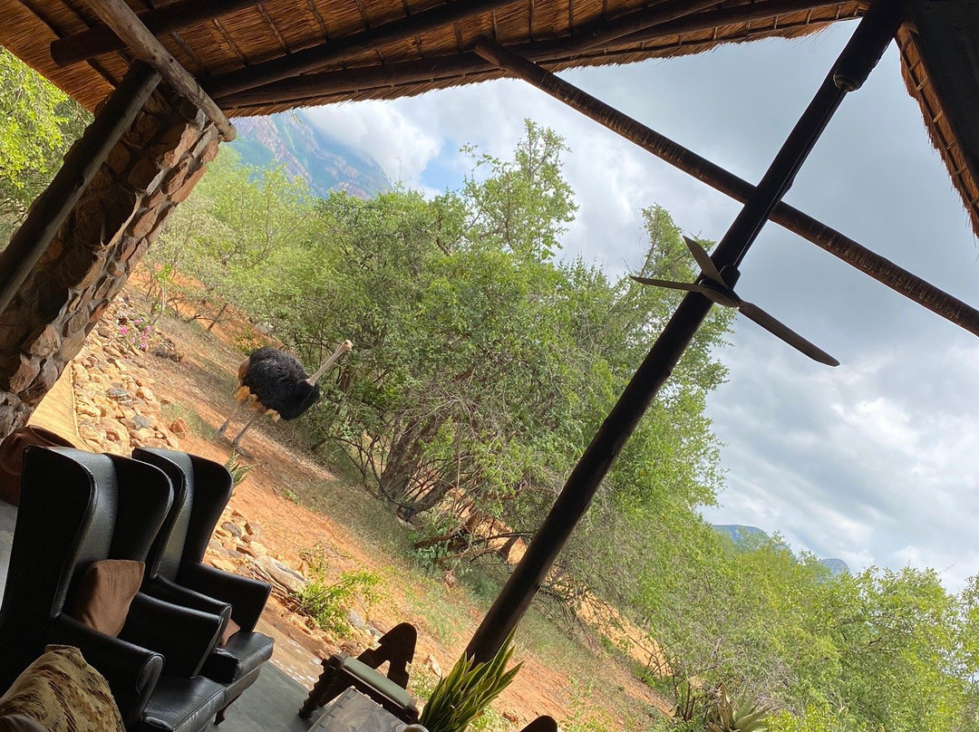 希克瓦利丛林旅舍主图