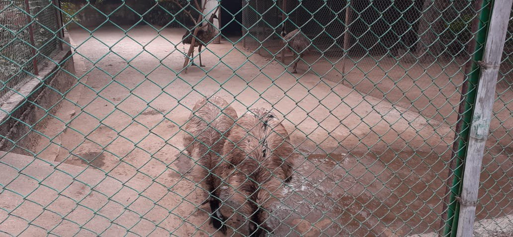 Gandhi Prani Udhyan-瓜廖尔必去景点