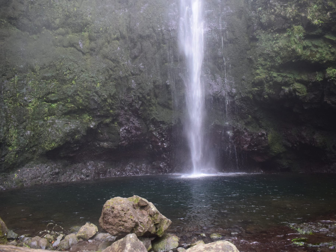 Parque Florestal das Queimadas-Santana必去景点
