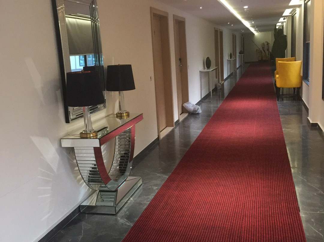 Hotel Midori Vithalapur主图